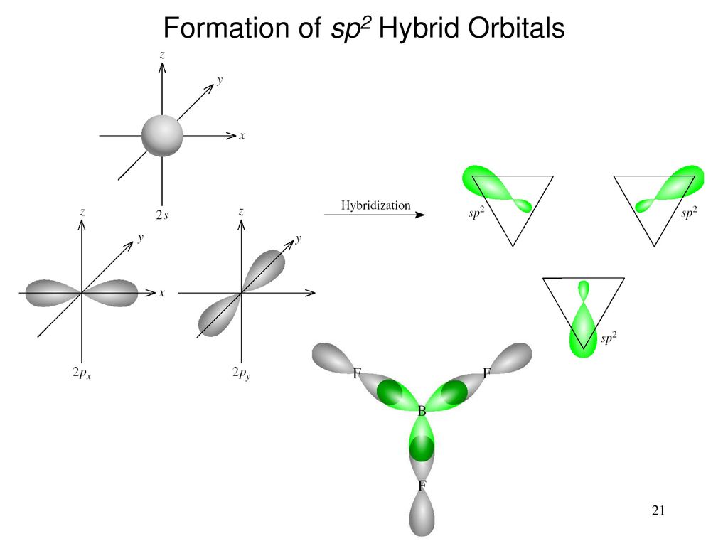 Sp Hybridization Shape